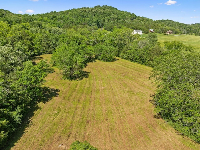 180 Lake Holw, Woodbury, TN 37190 - photo 43