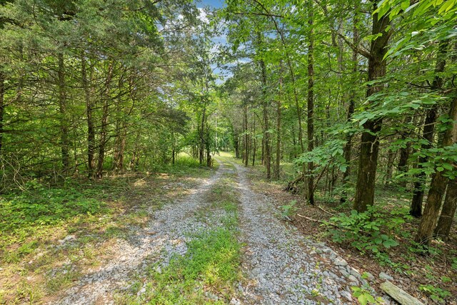 180 Lake Holw, Woodbury, TN 37190 - photo 15