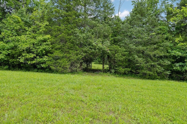 180 Lake Holw, Woodbury, TN 37190 - photo 25