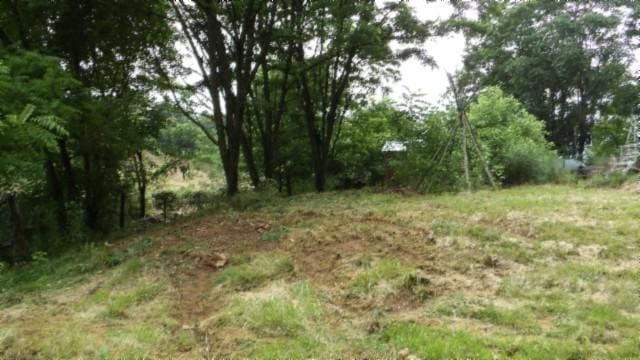 105 Log Home Ln, Moss, TN 38575 - view of local wilderness