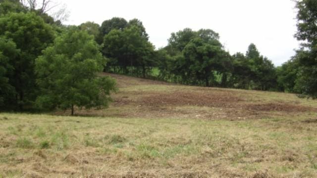 105 Log Home Ln, Moss, TN 38575 - view of nature with rural landscape