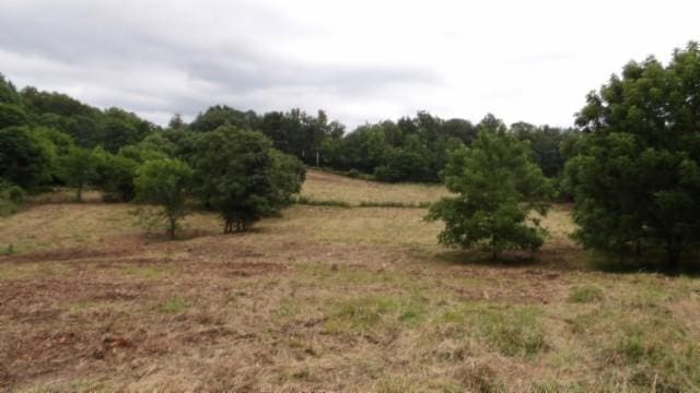 105 Log Home Ln, Moss, TN 38575 - view of nature with rural landscape