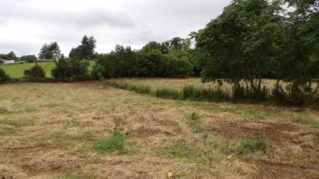 105 Log Home Ln, Moss, TN 38575 - view of undeveloped land