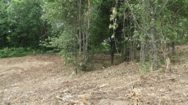 105 Log Home Ln, Moss, TN 38575 - view of local wilderness