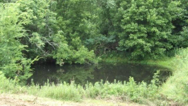 105 Log Home Ln, Moss, TN 38575 - view of undeveloped land