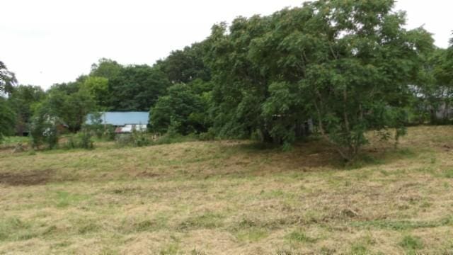 105 Log Home Ln, Moss, TN 38575 - view of yard