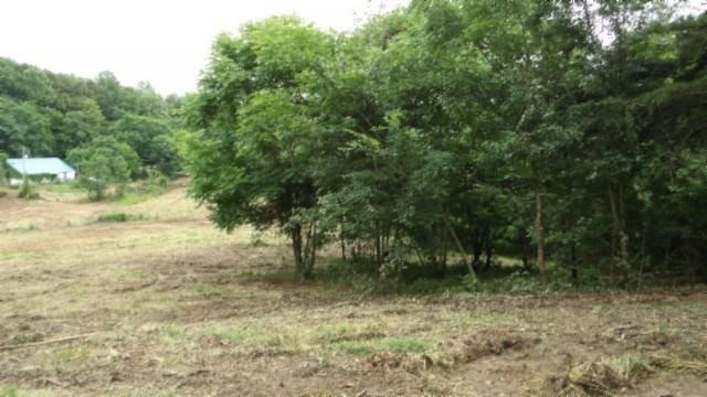 105 Log Home Ln, Moss, TN 38575 - view of nature with rural landscape