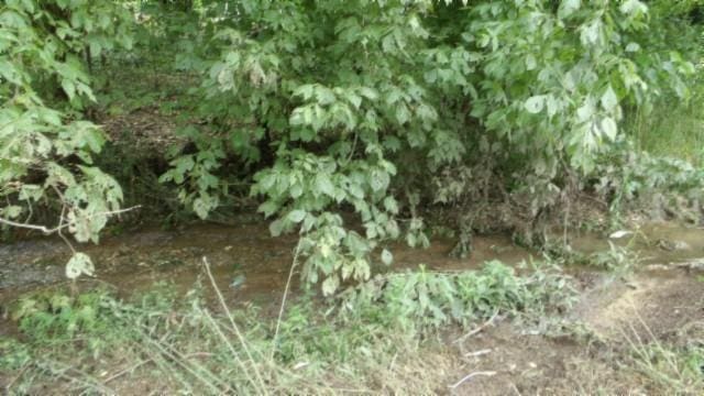 105 Log Home Ln, Moss, TN 38575 - view of local wilderness