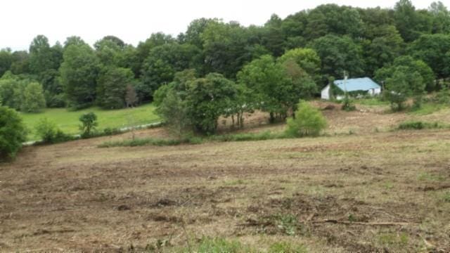 105 Log Home Ln, Moss, TN 38575 - view of nature featuring rural landscape