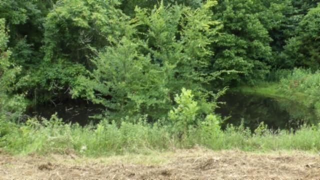 105 Log Home Ln, Moss, TN 38575 - view of undeveloped land