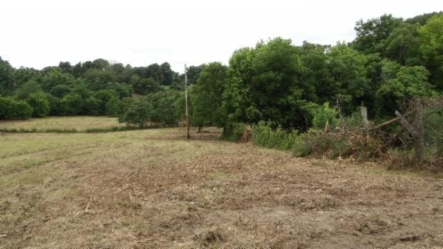 105 Log Home Ln, Moss, TN 38575 - view of local wilderness