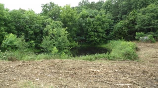105 Log Home Ln, Moss, TN 38575 - view of undeveloped land