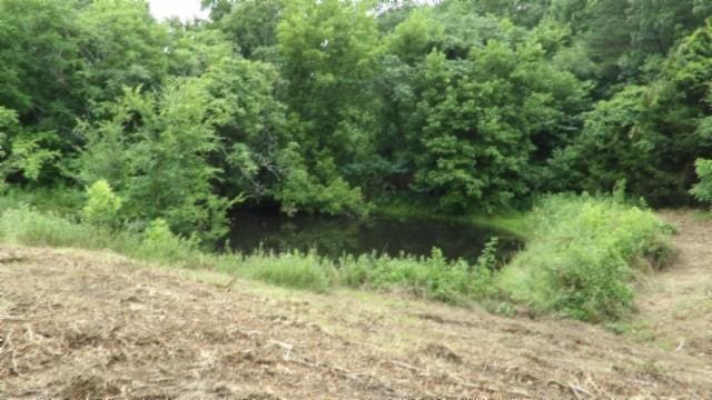 105 Log Home Ln, Moss, TN 38575 - view of nature