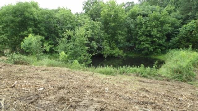 105 Log Home Ln, Moss, TN 38575 - view of nature