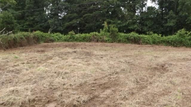 105 Log Home Ln, Moss, TN 38575 - view of local wilderness