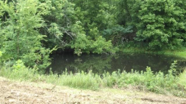 105 Log Home Ln, Moss, TN 38575 - view of undeveloped land