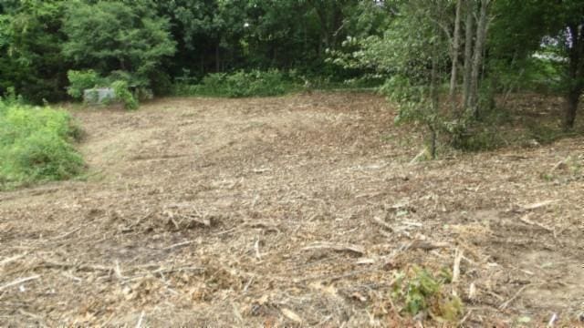 105 Log Home Ln, Moss, TN 38575 - view of nature