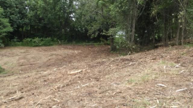 105 Log Home Ln, Moss, TN 38575 - view of undeveloped land
