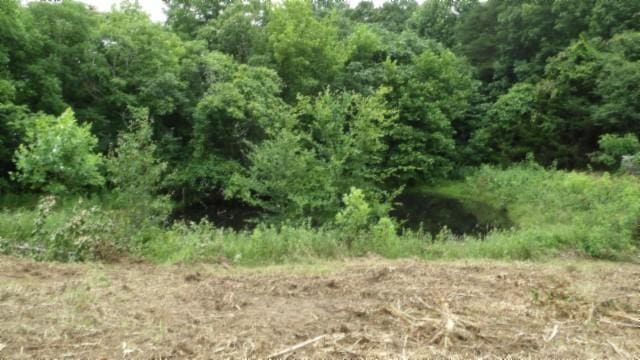 105 Log Home Ln, Moss, TN 38575 - view of undeveloped land