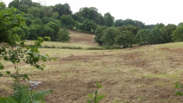 105 Log Home Ln, Moss, TN 38575 - view of undeveloped land featuring rural landscape