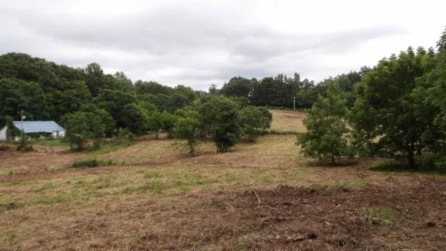 105 Log Home Ln, Moss, TN 38575 - view of undeveloped land featuring rural landscape
