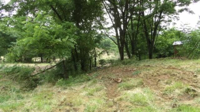 105 Log Home Ln, Moss, TN 38575 - view of local wilderness