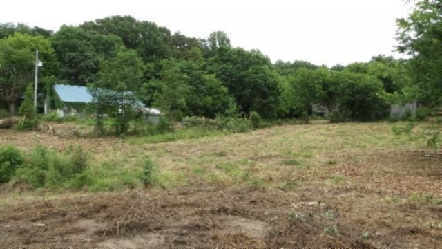105 Log Home Ln, Moss, TN 38575 - view of undeveloped land featuring rural landscape