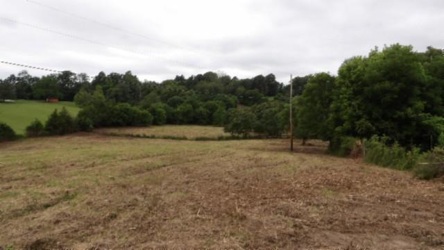 105 Log Home Ln, Moss, TN 38575 - view of local wilderness
