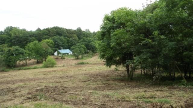 105 Log Home Ln, Moss, TN 38575 - view of nature with rural landscape