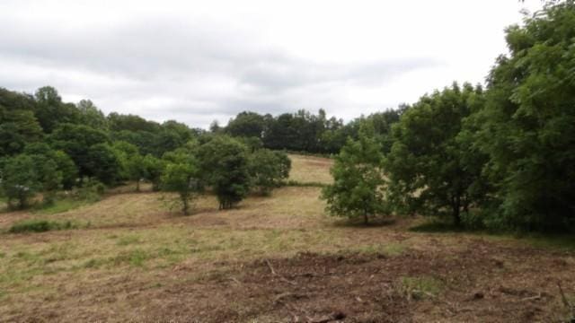 105 Log Home Ln, Moss, TN 38575 - view of nature featuring rural landscape