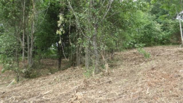 105 Log Home Ln, Moss, TN 38575 - view of nature