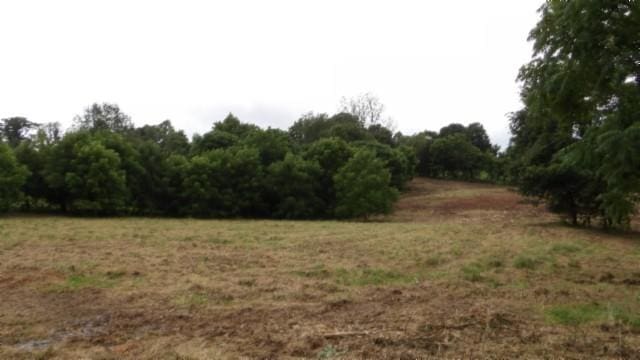 105 Log Home Ln, Moss, TN 38575 - view of undeveloped land featuring rural landscape