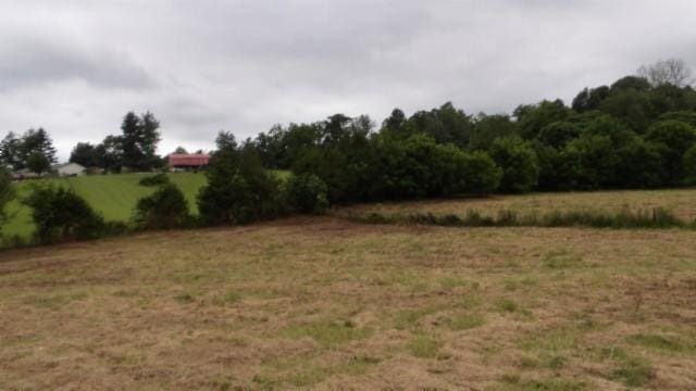 105 Log Home Ln, Moss, TN 38575 - view of undeveloped land featuring rural landscape
