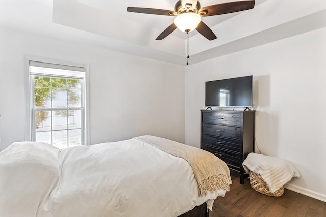 1902 Vicksburg Cir, Columbia, TN 38401 - bedroom featuring a tray ceiling, dark wood-style flooring, and a ceiling fan