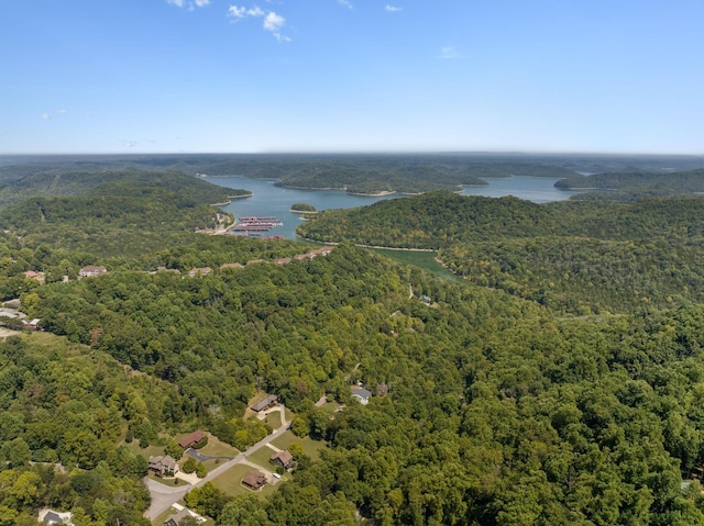 615 Harbor Dr, Lancaster, TN 38569 - photo 56
