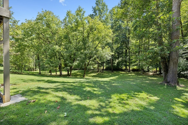 615 Harbor Dr, Lancaster, TN 38569 - photo 36