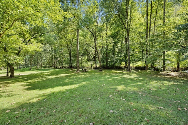 615 Harbor Dr, Lancaster, TN 38569 - photo 38