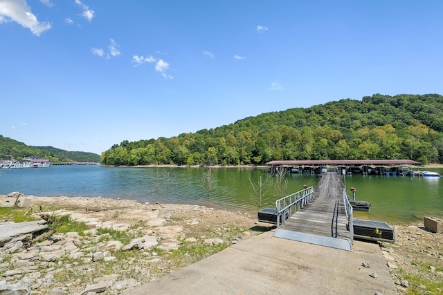 615 Harbor Dr, Lancaster, TN 38569 - photo 52