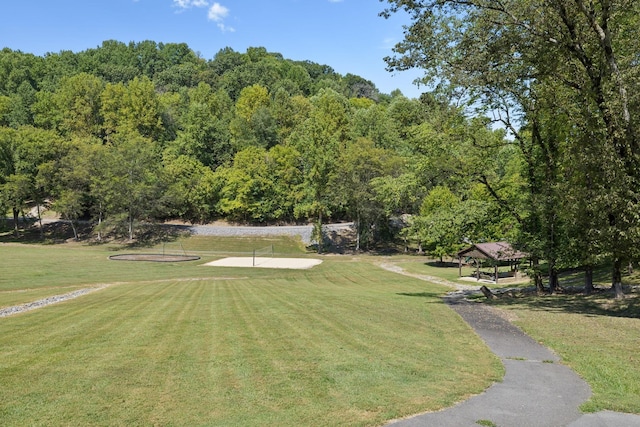 615 Harbor Dr, Lancaster, TN 38569 - photo 41