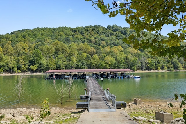 615 Harbor Dr, Lancaster, TN 38569 - photo 51
