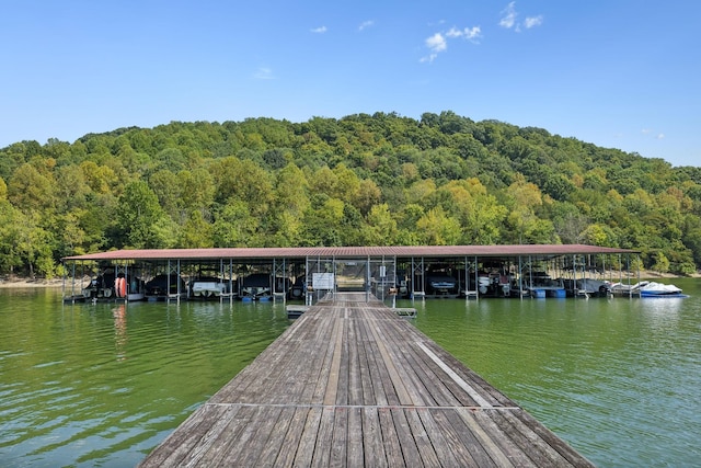 615 Harbor Dr, Lancaster, TN 38569 - photo 50