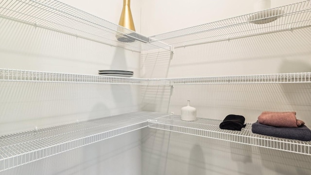 99 Hartmann Crossing Dr, Lebanon, TN 37087 - view of pantry