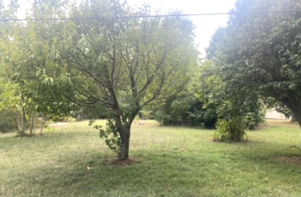 218 Cedar Ave, Linden, TN 37096