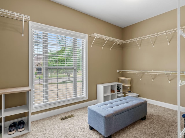 2955 Prince Dr, Clarksville, TN 37043 - photo 42