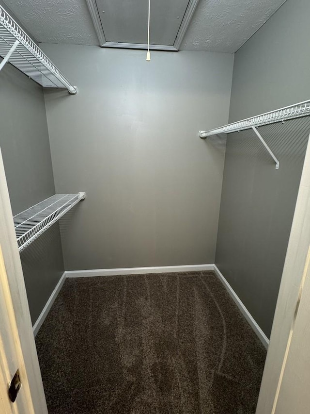 109 Mead Ave, Smyrna, TN 37167 - photo 8