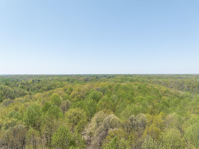 0 Smith Hollow Rd, Mount Pleasant, TN 38474 - photo 19