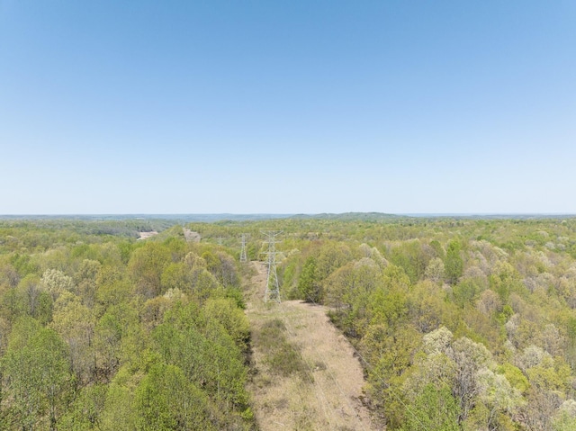 0 Smith Hollow Rd, Mount Pleasant, TN 38474 - photo 23