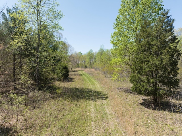 0 Smith Hollow Rd, Mount Pleasant, TN 38474 - photo 16