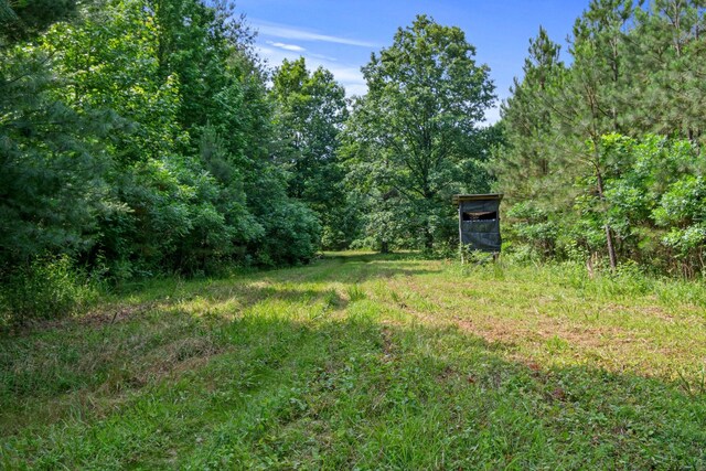 0 Smith Hollow Rd, Mount Pleasant, TN 38474 - photo 5