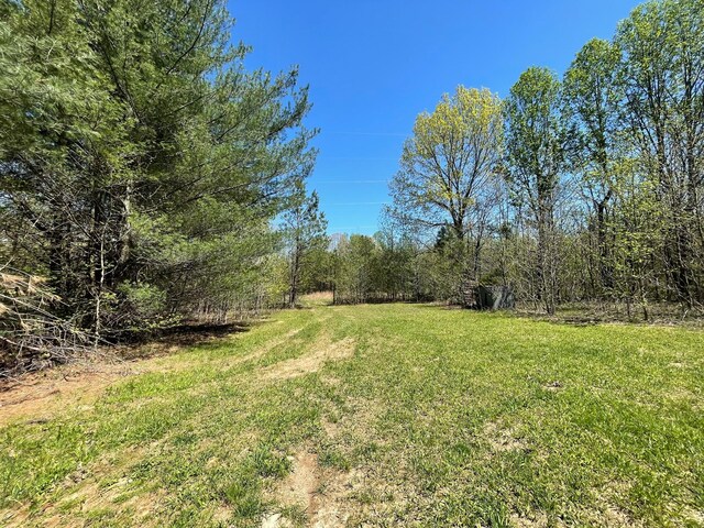 0 Smith Hollow Rd, Mount Pleasant, TN 38474 - photo 15